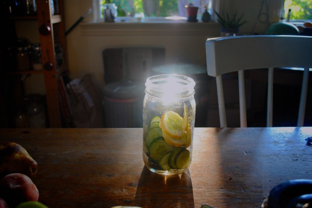 photo albumborder 030