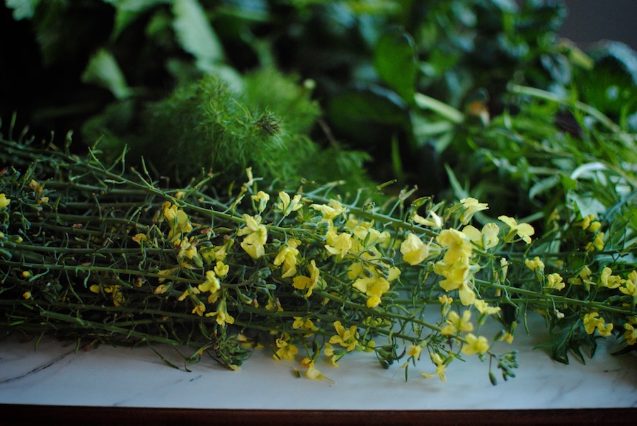 photo albumborder 028