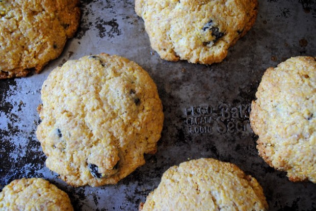 photo albumborder 020 (4)