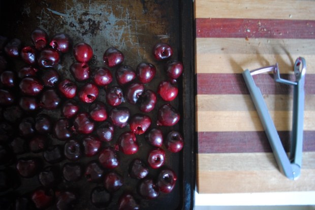 photo albumborder 024 (2)