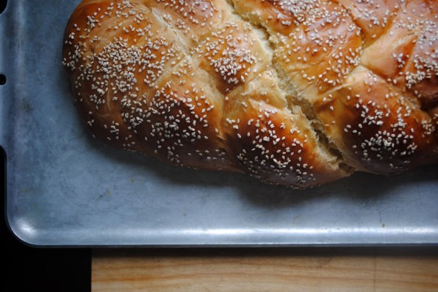 photo albumborder 029