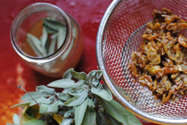 White Grape + Sage Shrub